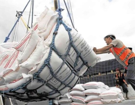 importer ng bigas pilipinas