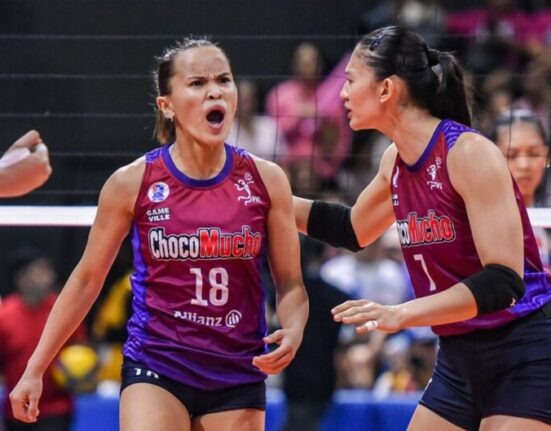 sisi rondina