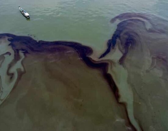 mtkr terranova oily waste