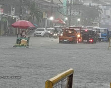 cebu