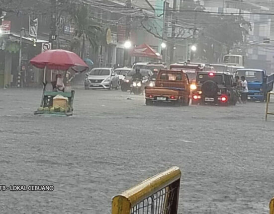 cebu