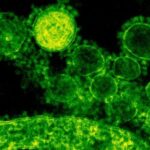 flesh-eating bacteria