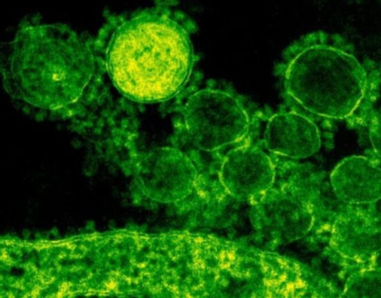flesh-eating bacteria