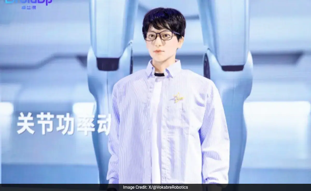 humanoid robot