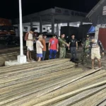 illegal logging sa dolores eastern samar