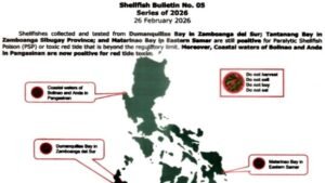 Matarinao Bay sa Eastern Samar, apektado pa rin ng Red Tide