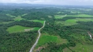 Environmental impact ng ‘Unity Roads’ sa Samar, tiniyak na maliit lang