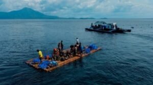 9K Fuel Subsidy Cards, ipamamahagi sa mga mangingisda sa Eastern Visayas