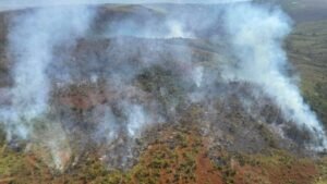 OCD Eastern Visayas, nagbabala sa grass fires