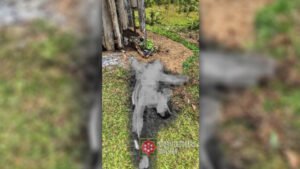 Napaslang na miyembro ng NPA sa Samar, menor de edad, ayon sa militar